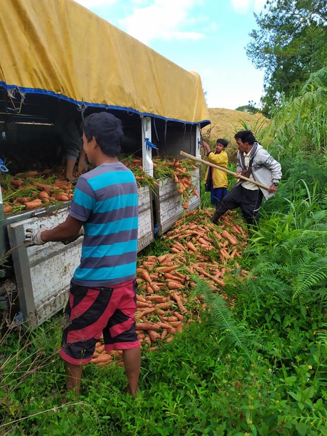 Đây là hình ảnh&nbsp;của cư dân mạng&nbsp;Jaren Lamhi ghi lại hình ảnh nông dân ở Tinoc, Ifugao, Philippines phải đổ bỏ cà rốt trong xe tải do &#34;cung vượt cầu&#34; giữa lúc nước này phong tỏa toàn đảo Luzon.