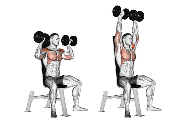 Shoulder press