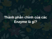 Giáo dục - du học - Trắc nghiệm: Chỉ người sở hữu “siêu trí tuệ” mới trả lời đúng hết bộ câu hỏi này