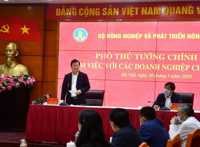 Phó Thủ tướng Trịnh Đình Dũng yêu cầu Bộ Công Thương kiểm soát, giảm bớt khâu trung gian trong chuỗi thịt lợn