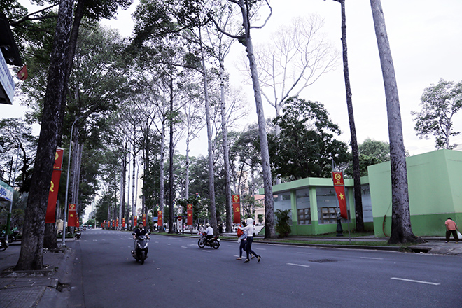 Đường An Dương Vương (quận 5) ngày thường dòng phương tiện nối đuôi nhau lưu thông. Tuy nhiên, trong sáng đầu năm mới, đường phố vắng vẻ, ít người qua lại.