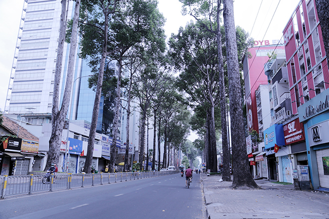 Đường Nguyễn Thị Minh Khai (quận 3) ngày thường các phương tiện xếp hàng dài di chuyển trên đường nhưng sáng đầu năm mới 2021 vắng vẻ. Người tham gia giao thông đi lại thênh thang trên phố trong thời tiết se lạnh.