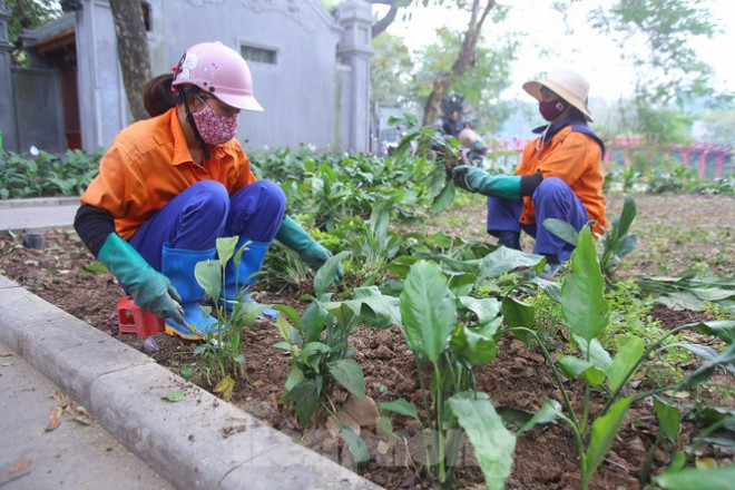 Từ sau đêm giao thừa, mỗi ngày có hàng chục công nhân làm "sống lại" thảm hoa sau khi bị phá hỏng.