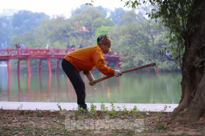 Thảm hoa hồ Hoàn Kiếm &#34;nát bươm&#34; sau giao thừa và Tết Dương lịch - 21