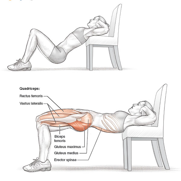 Hip Thrust: Bài tập đầu tiên là đẩy hông với máy hoặc với tạ. Theo thời gian, tăng dần độ khó khi nâng trọng lượng tạ và kéo dài thời gian tập luyện.&nbsp;