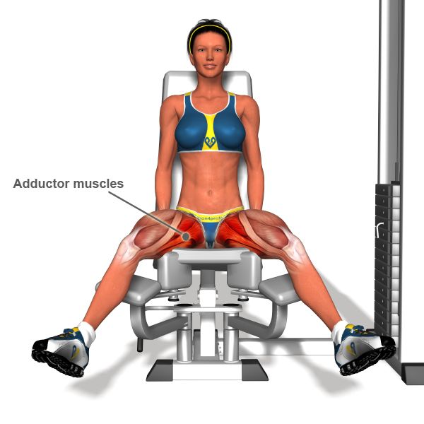 Inner Thigh Machine - Banh chân với máy&nbsp;:Nếu không muốn đùi quá to và cơ bắp phát triển lớn thì Inner Thigh Machine&nbsp; là bài tập tuyệt vời để chị em áp dụng với mục đích làm căng tròn vòng hông.&nbsp;