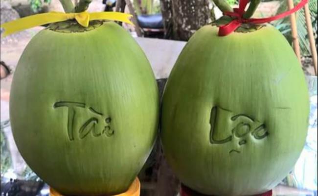 Một số nhà vườn ở Vĩnh Long đã cho ra mắt hơn 1.000 trái dừa thơm mang chữ thư pháp “Tài, Lộc”. Mỗi cặp dừa này có giá khoảng 400.000 đồng. Dừa thơm trái nhỏ gọn, phù hợp chưng trên mâm ngũ quả theo phong tục của người dân Nam Bộ.
