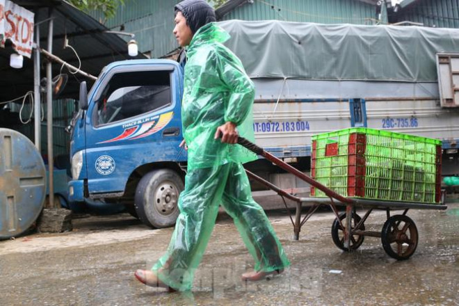 Mưu sinh trong giá rét Hà Nội