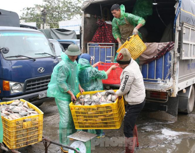 Những giỏ cá nặng hơn tạ được cân lên và mua bán ngay trong chợ để rồi vận chuyển đi cho các nhà hàng lớn nhỏ ở Thủ đô