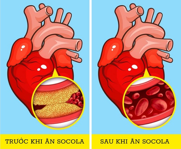 Tại sao chúng ta nên bắt đầu ăn socola vào buổi sáng? - 4