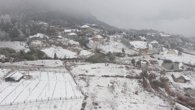 Suốt từ đêm 10 rạng sáng 11/1, những cơn mưa tuyết đã xối xả trút xuống khu vực xã Y Tý (huyện Bát Xát, Lào Cai) khiến mọi cảnh vật nơi đây đều phủ một lớp tuyết trắng xóa.
