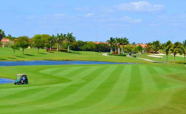 Câu lạc bộ golf Mar-a-Lago tại Palm Beach của ông Trump trị giá 160 triệu USD. Câu lạc bộ này thậm chí trở nên đắt đỏ hơn kể từ khi ông Trump thành tổng thống. 
