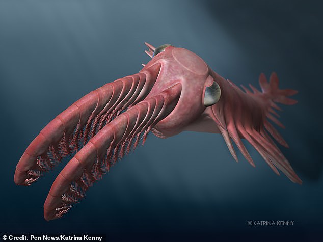 Quái vật kỳ dị cổ đại, vòi như đuôi tôm và đôi mắt "nhìn thấu đại dương" - 2