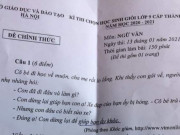 Giáo dục - du học - Đề thi Văn dành cho HSG lớp 9 gây tranh cãi khi xuất hiện câu Nghị luận xã hội khó hiểu