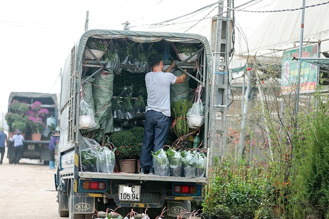 Xe nối&nbsp;hàng dài, chất đầy hoa và cây cảnh