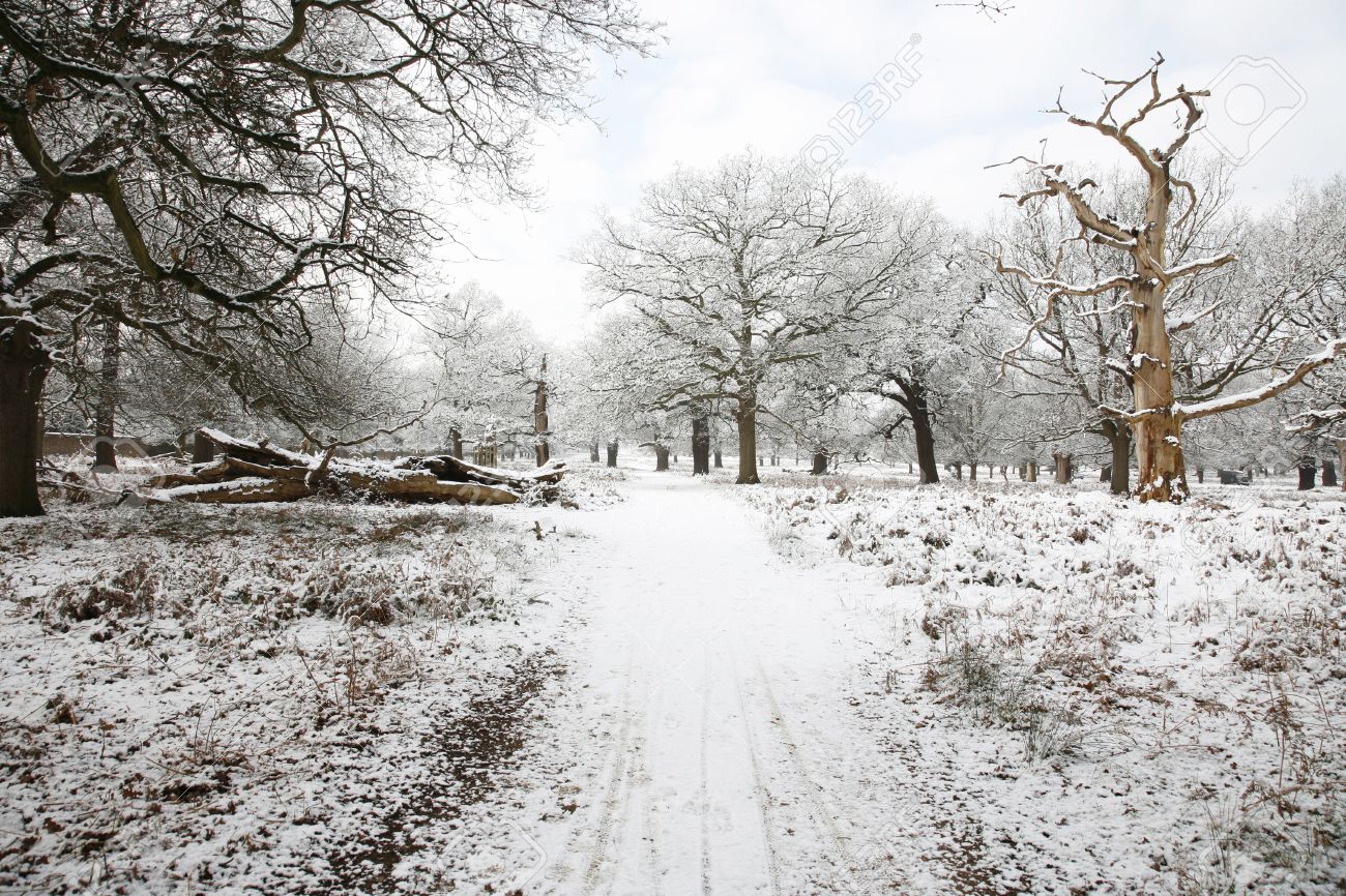 Những phong cảnh mùa đông đẹp nhất thế giới - 15