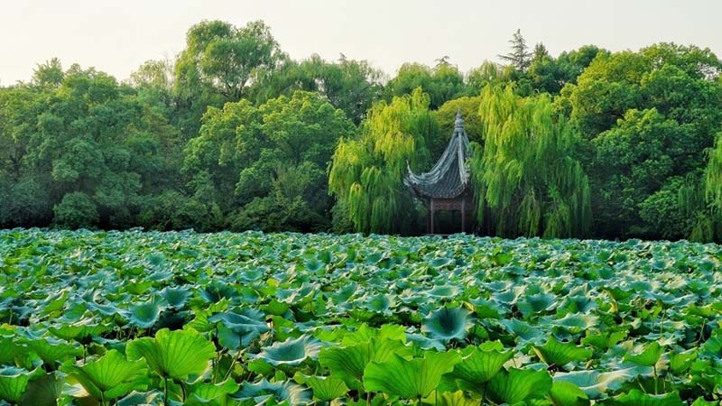 Thị trấn cổ giàu nhất cuối triều đại nhà Thanh, không hổ danh là nơi buôn lụa nổi tiếng bậc nhất - 9