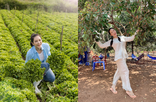 Người đẹp Vũng Tàu còn có nông trại rộng 50ha tại Đà Lạt và vườn trái cây 1ha tại quê nhà, chuyên cung cấp rau củ và thực phẩm sạch cho gia đình cô cùng bạn bè.
