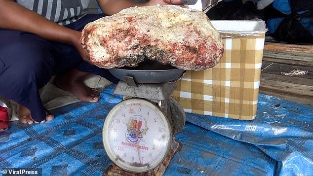 Khối long diên hương nặng 7 kg. Ảnh: Viral Press