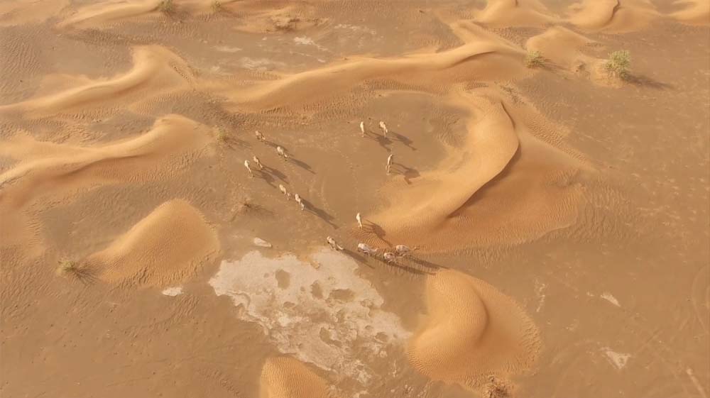 Từng là thị trấn xa hoa nhất Dubai nhưng nơi này giờ đã bị chôn vùi trong cát - 5