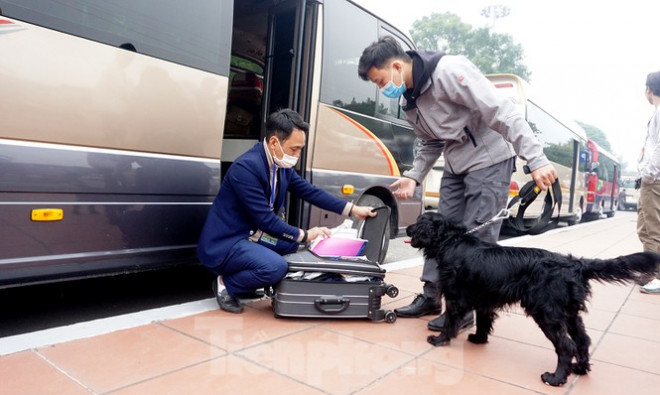 Chú cảnh khuyển tên Bone thuộc giống Cocker Spaniel kiểm tra chiếc vali trên ô tô.