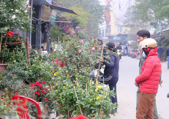 Chợ hoa Tết Vạn Phúc là nơi bày bán hàng trăm loại hoa, cây cảnh và thu hút đông đảo người dân khắp nơi kéo đến mua sắm.