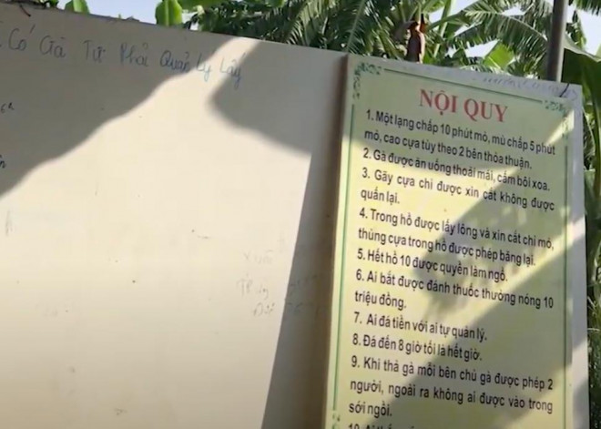 Bảng nội quy được treo công khai trong sới gà của Bình "vổ", có hẳn điều thứ 7 liên quan đến việc cá cược tiền đá gà. (Ảnh: Truyền hình Người đưa tin)