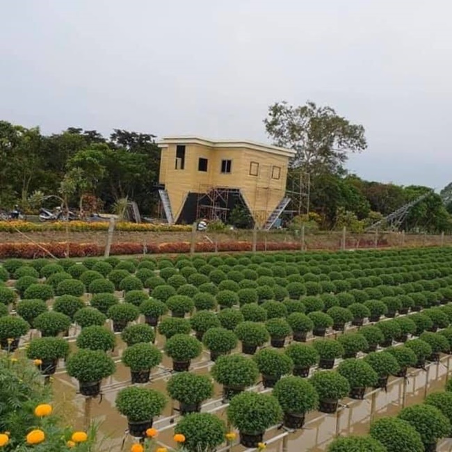 Xung quanh nhà có ao nuôi cá, hàng hoa rực rỡ, các tiểu cảnh đẹp mắt và đồi cừu nhỏ.
