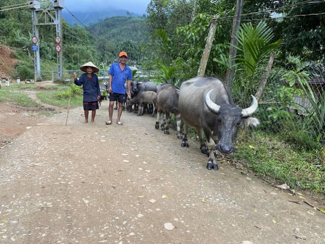 Người làng Rêu hôm nay