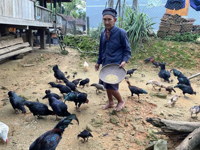 Bà Phạm Thị Liên: “Bệnh hết từ lâu rồi, giờ ai cũng lo làm ăn"