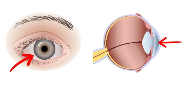 Ăn 2 quả trứng mỗi ngày, cơ thể thay đổi cực kỳ diệu - 2