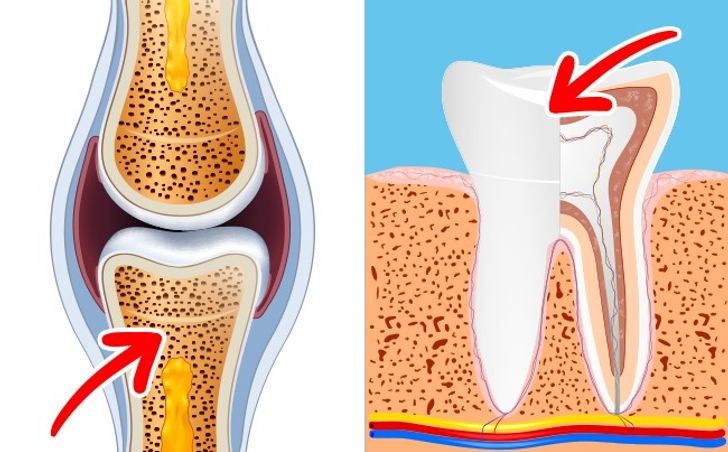 Ăn 2 quả trứng mỗi ngày, cơ thể thay đổi cực kỳ diệu - 3