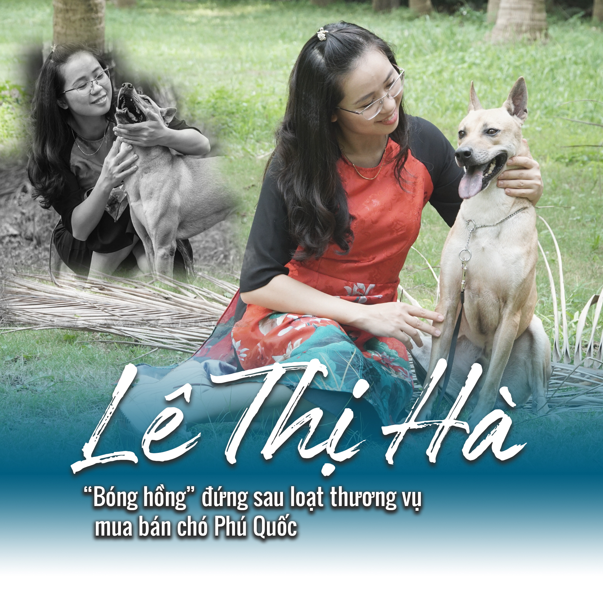 Chân dung “bóng hồng” đứng sau loạt thương vụ mua bán chó Phú Quốc đình đám ở Việt Nam - 1