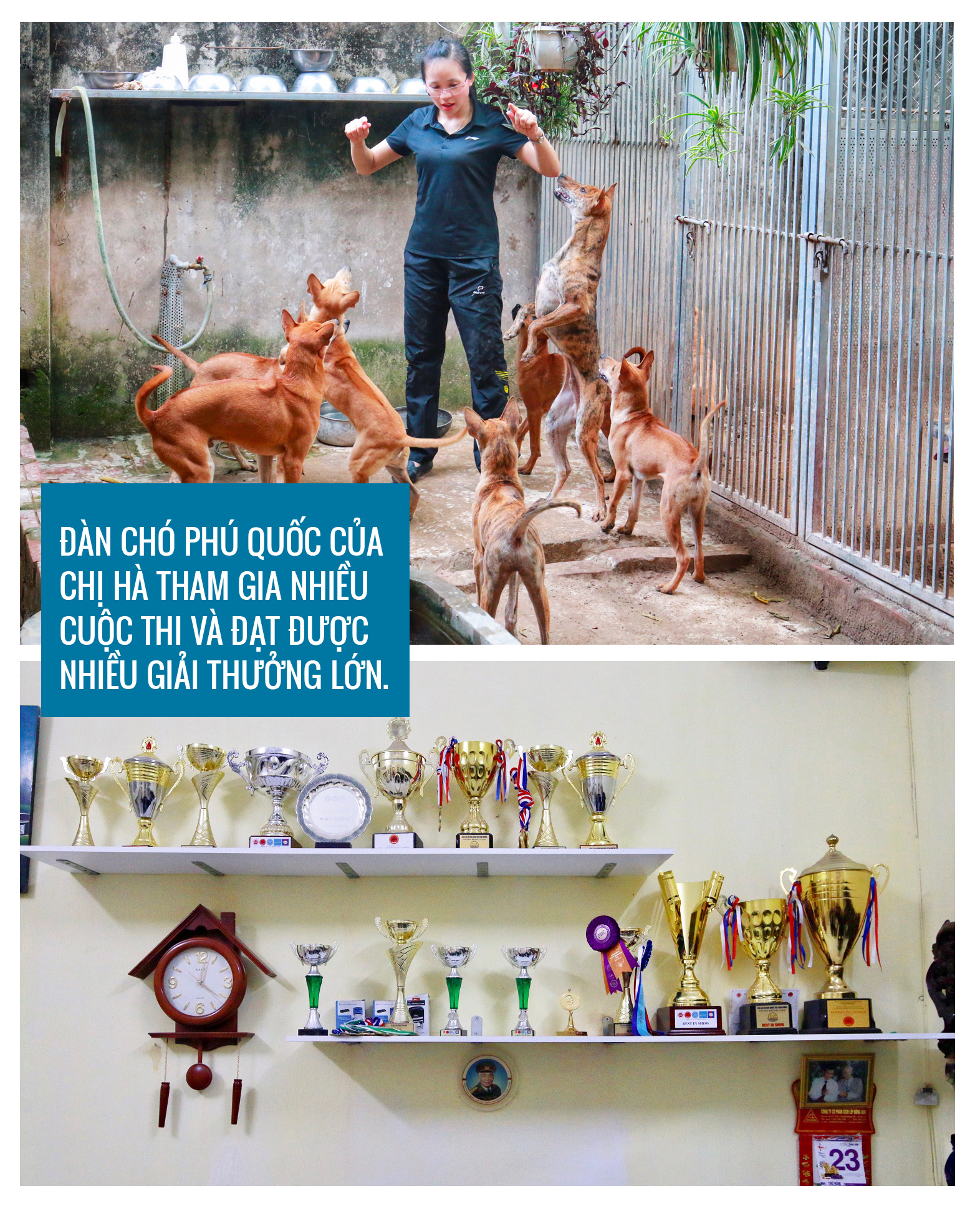 Chân dung “bóng hồng” đứng sau loạt thương vụ mua bán chó Phú Quốc đình đám ở Việt Nam - 10