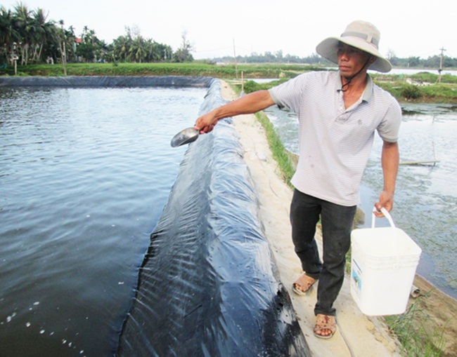 Theo những người đã nuôi artemia, ban đầu chi hơn 1 triệu đồng mua nửa cân giống artemia khô, thêm các chi phí như sục khí, vệ sinh ao hay mua thức ăn cho artemia... tổng chi phí bỏ ra 4-5 triệu/sào, nhưng có thể bán được 10 triệu đồng/vụ/tháng.
