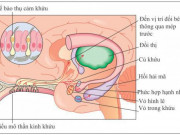 Sức khỏe đời sống - Vì sao SARS-CoV-2 làm con người mất khứu giác, vị giác?