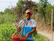 Thị trường - Tiêu dùng - Chàng trai 9x uốn mai vàng thành lộc bình tiền triệu &quot;cháy&quot; hàng dịp Tết