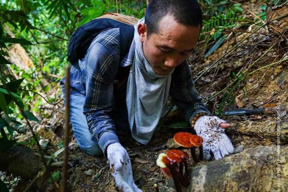 Những chuyến đi rừng tìm nấm đã hun đúc lên mục tiêu khởi nghiệp của ông bố sinh năm 1987