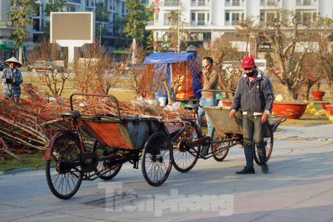 Do không có người mua, những người chở hàng thuê cũng ế ẩm