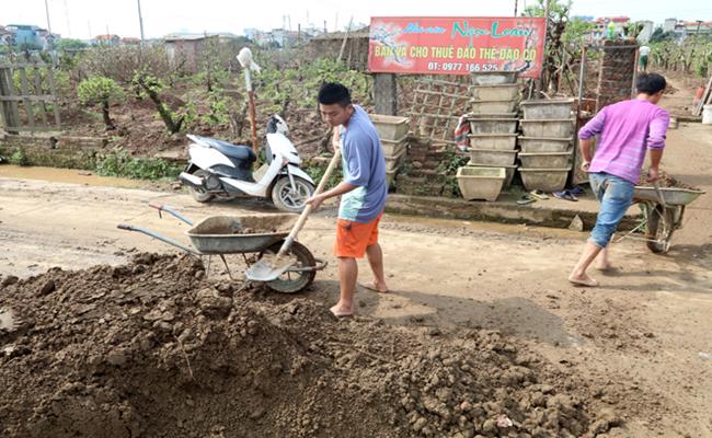 Chi phí và công sức bỏ ra để chăm sóc một gốc đào là không nhỏ. Chỉ tính riêng mỗi xe đất kể cả công vận chuyển đến từng gốc đào là khoảng 600.000-700.000 đồng. Tuy nhiên, không ai có thể đảm bảo chất lượng cũng như khả năng sống của cây.&nbsp;
