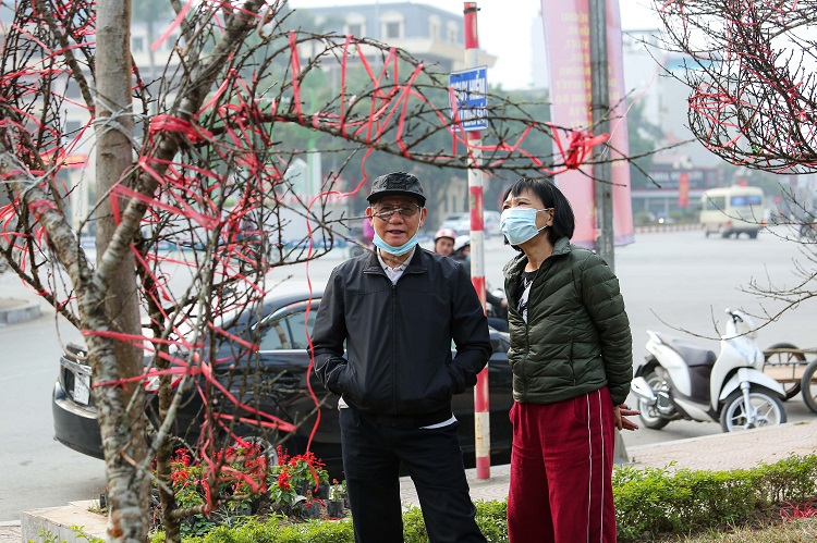 Lo lắng nhất là những tiểu thương bán đào dọc phố Lạc Long Quân, Hà Nội.