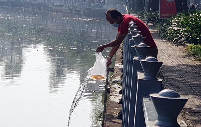 Do bờ kênh có hàng rào bảo vệ nên người dân chỉ thả cá chép từ trên cao xuống. Qua ghi nhận, những con cá chép vẫn bơi bình thường dù thả từ vị trí khá cao xuống nước. Để bảo vệ môi trường nước, túi nilon sau khi thả cá được gom lại bỏ thùng rác đúng quy định.