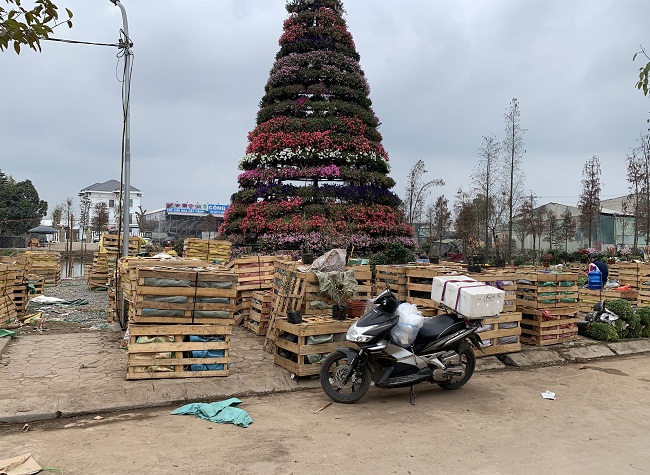 Hàng nghìn kiện hàng cúc mâm xôi, hoa các loại được thương lái bốc dỡ, nhưng còn nguyên đai nguyên kiện, chưa được bầy bán