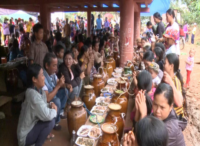 Các hộ đều mang rượu cần, cùng với lễ vật, thức ăn đến quây quần dưới mái nhà rông để tham gia các hoạt động cúng lúa mới.