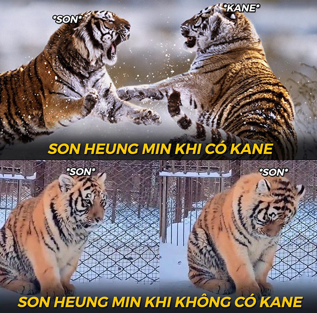 Hình ảnh của Son Heung Min khi thiếu vắng Harry Kean.