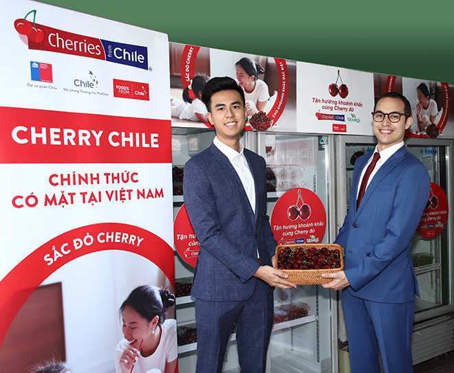Cherry Chile lần đầu được nhập khẩu vào Việt Nam - 1