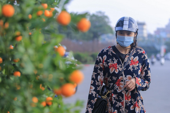 "Dịch nên đường phố cũng vắng chứ nói gì người đi mua, sắm Tết, kinh doanh ế ẩm lắm. Sợ bán không hết chỗ quất đã đào lên nên tôi treo biển sale hết, cây to cũng như cây nhỏ. Bán với giá lỗ để vớt vát được phần nào vốn. Treo biển từ qua giờ vẫn chưa bán được cây nào", anh Hùng lo lắng.