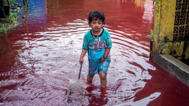 Một đứa trẻ Indonesia chơi đùa trong dòng nước màu đỏ. Ảnh: Reuters.