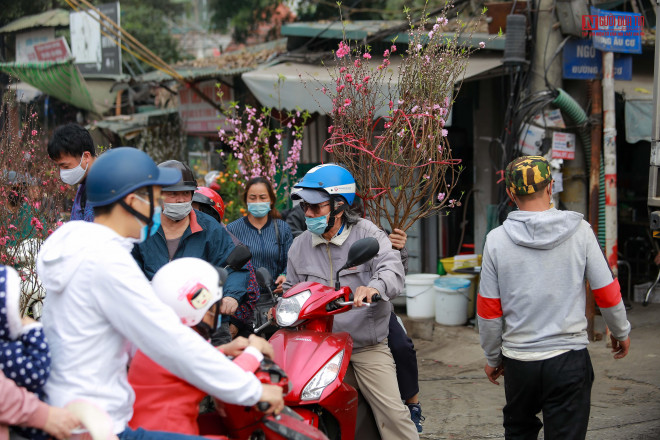 Ông Hùng, người chơi đào Hà Nội chia sẻ: “Chơi đào dịp Tết là một nét đẹp cổ truyền. Ai cũng mong muốn trong những ngày đầu năm mới có cành đào khoe sắc, đem lại không khí ấm áp, vui tươi…