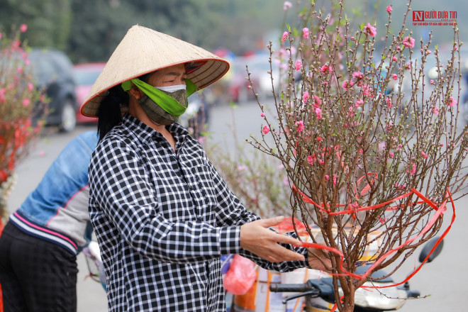 Người Hà Nội có thú chơi đào riêng, đầu mùa thì chơi đào cành, chính vụ có thể chuyển sang chơi đào cây.